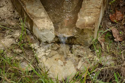 DSC_9396 (Large).JPG